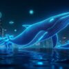 Σημαντικές Αναλήψεις USDC από Crypto Whales
